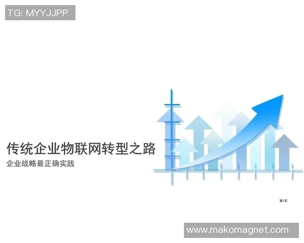 上海排球队的转型之路:从传统强队到现代化竞技新标杆 上海排球队的转型之路:从传统强队到现代化竞技新标杆