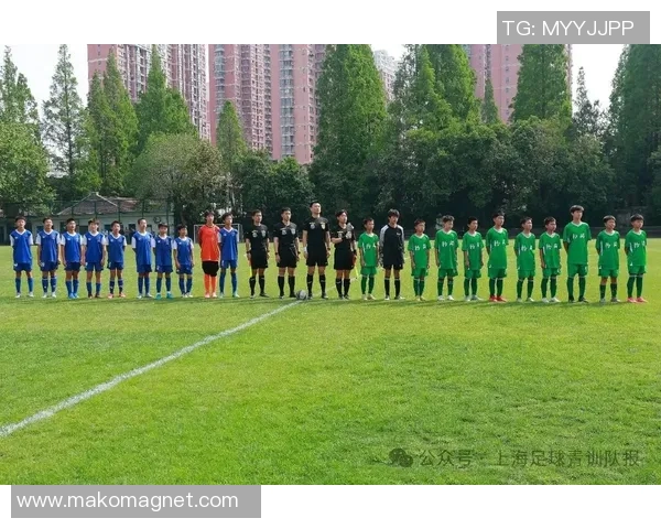 上海足球队在精英赛中的状态分析与表现评估