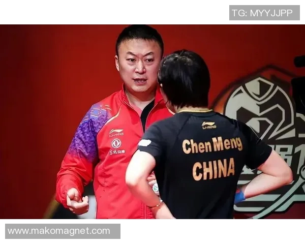 乒乓球耐力排行榜揭晓上海乒乓球队荣登第五名引发关注