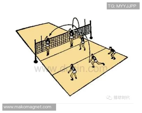 从零起步全面掌握排球战术技巧与实战应用指南 从零起步全面掌握排球战术技巧与实战应用指南