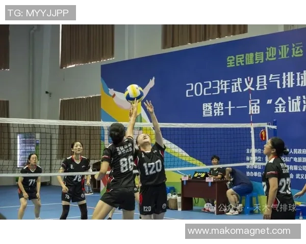 北京排球队的速度之谜揭秘：排球巨献带你领略竞技魅力与团队精神