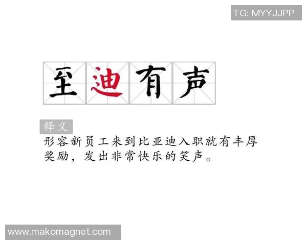 带迪字的足球明星们的辉煌成就与传奇故事揭秘