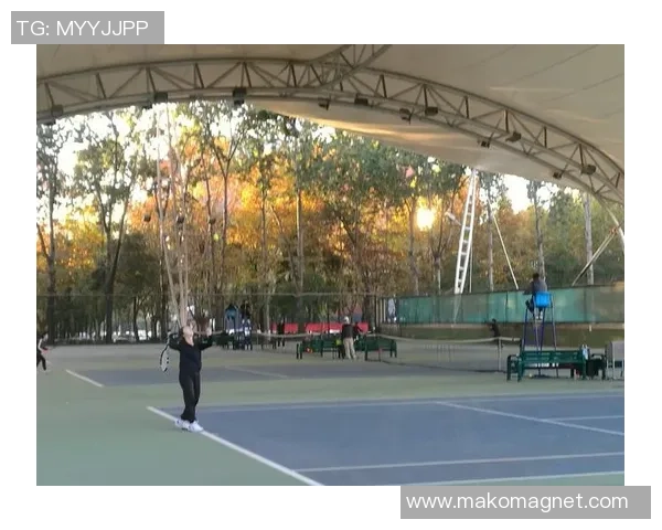 武汉网球队个人能力分析与表现评估的深度研究与探讨