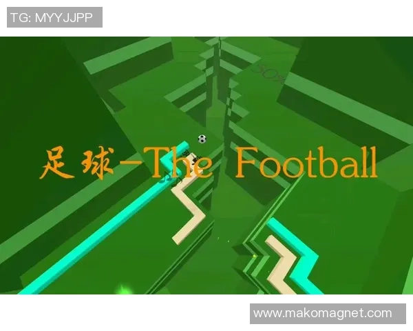 爱猫的足球明星如何在绿茵场上与爱宠共享快乐时光