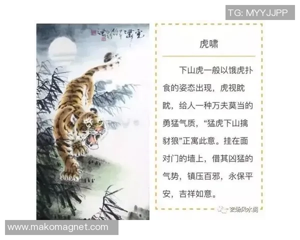 虎啸风云足球场上的带虎绰号明星们的传奇故事