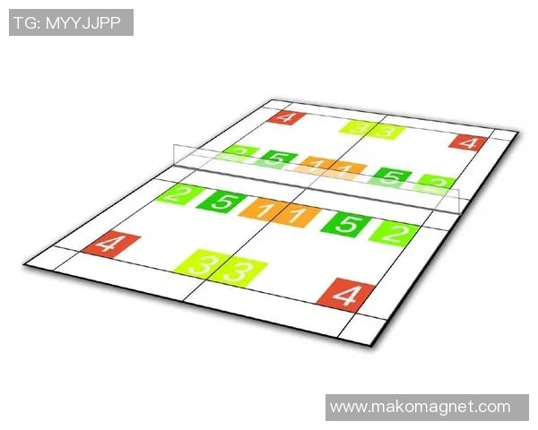 西安羽毛球队中路突破分析与战术得失探讨 西安羽毛球队中路突破分析与战术得失探讨