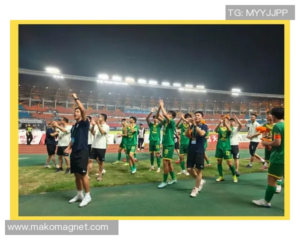 郴州足球明星盘点及其在国内外赛场的精彩表现与成就分析