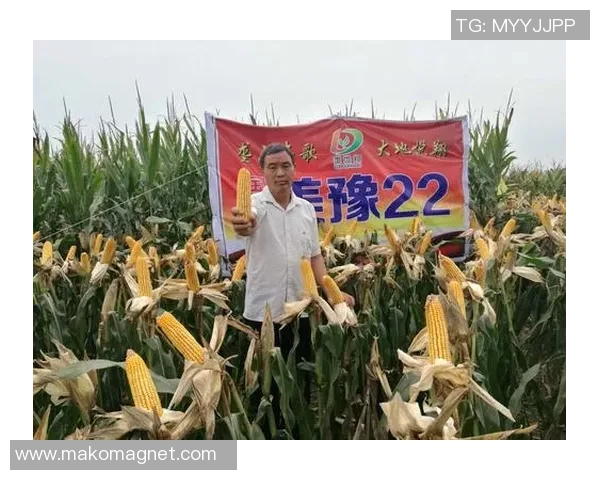 陈伟专访：回顾飞盘历程_1