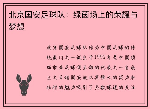 北京国安足球队：绿茵场上的荣耀与梦想