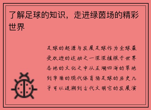 了解足球的知识，走进绿茵场的精彩世界