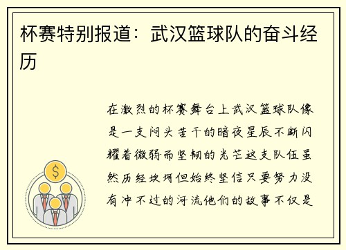 杯赛特别报道：武汉篮球队的奋斗经历