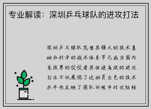 专业解读：深圳乒乓球队的进攻打法